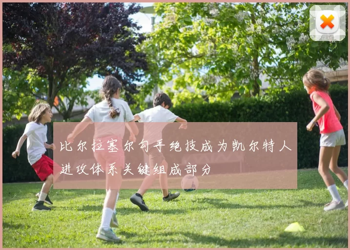 比尔拉塞尔勾手绝技成为凯尔特人进攻体系关键组成部分