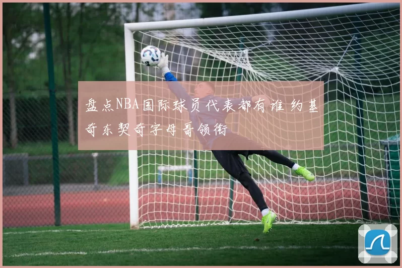 盘点NBA国际球员代表都有谁 约基奇东契奇字母哥领衔
