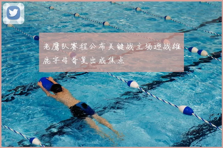 老鹰队赛程公布关键战主场迎战雄鹿字母哥复出成焦点