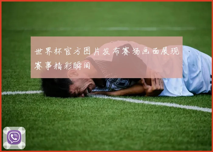 世界杯官方图片发布赛场画面展现赛事精彩瞬间